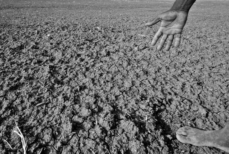 A drought affected area in Karnataka in 2012