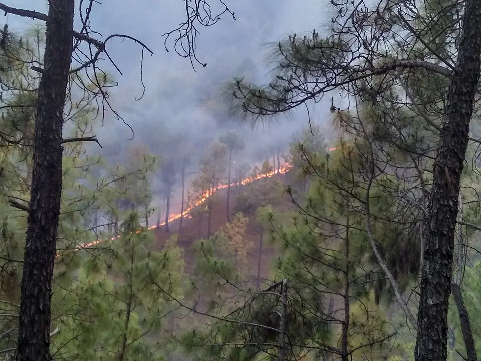 A forest fire on a hillside in Almora district, Uttarakhand, in 2016