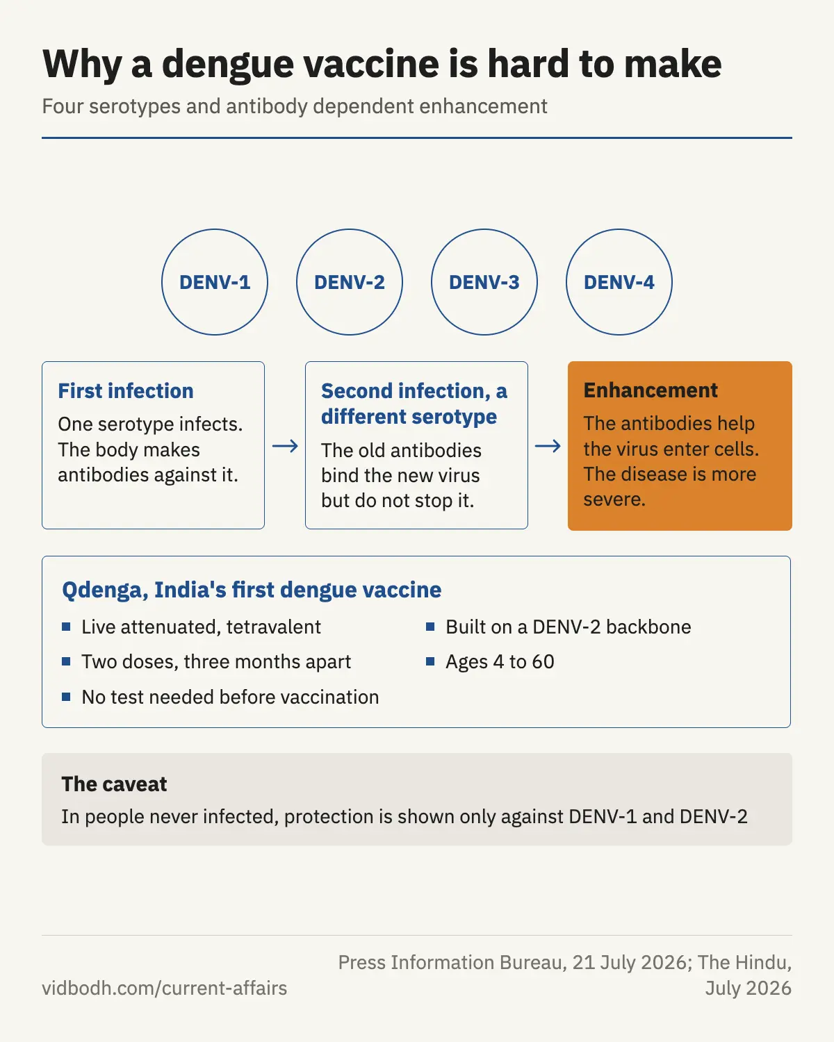 How antibody dependent enhancement works across the four dengue serotypes, and what Qdenga protects against.