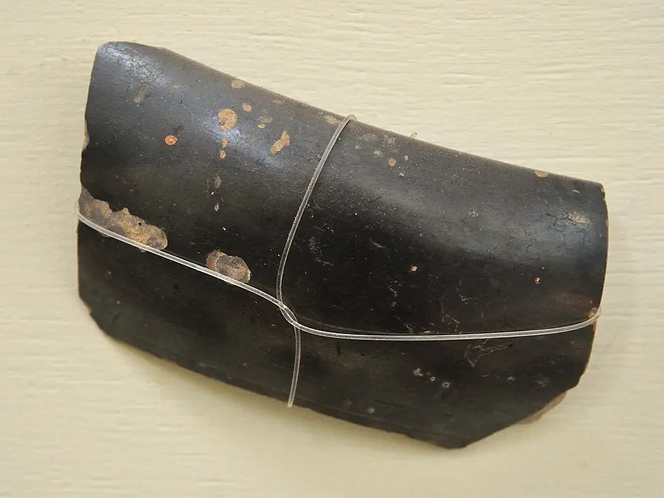 Northern Black Polished Ware from Sonkh: Northern Black Polished Ware, a fine, glossy pottery, is associated with urban growth and urban elite culture.