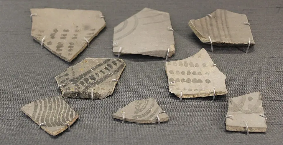 Painted Grey Ware sherds: Painted Grey Ware, fine grey pottery painted with black designs, is often associated with the Later Vedic phase.