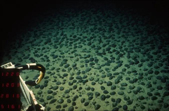 Field of polymetallic nodules on the Pacific seabed