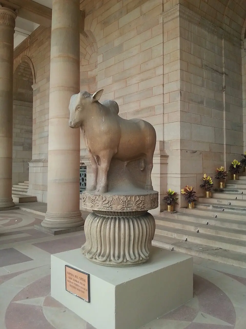 The Rampurva bull capital: Ashoka's pillars at Rampurva and elsewhere are monolithic, polished and crowned with animal capitals.