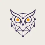 NuanceBrief owl
