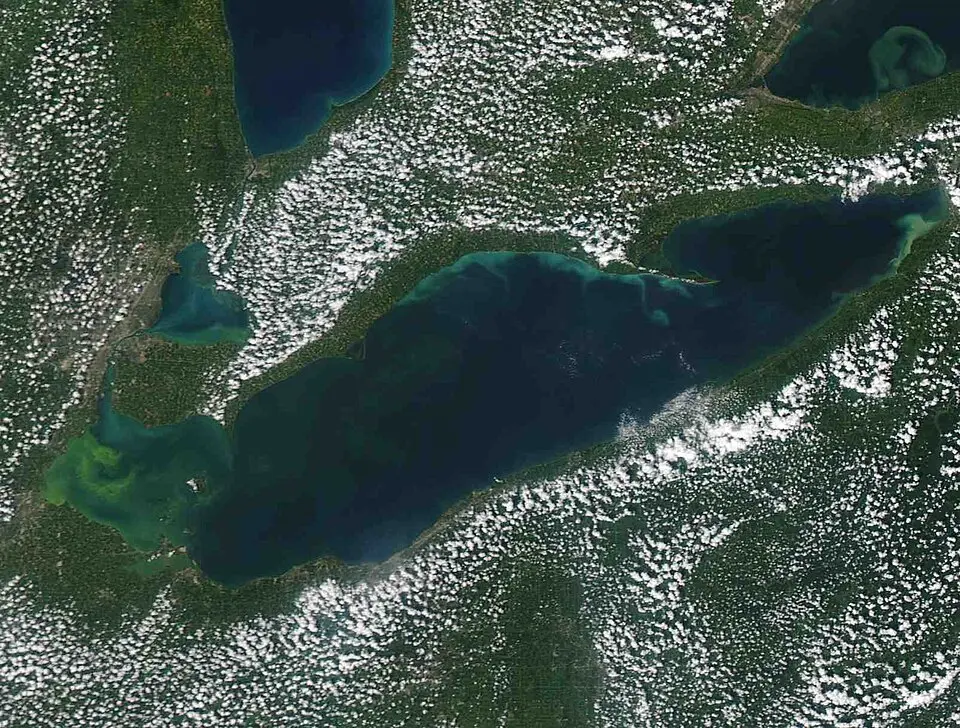 An algal bloom on Lake Erie