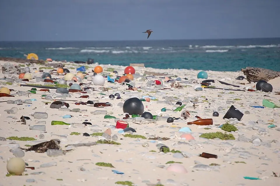 Plastic debris strewn along a beach