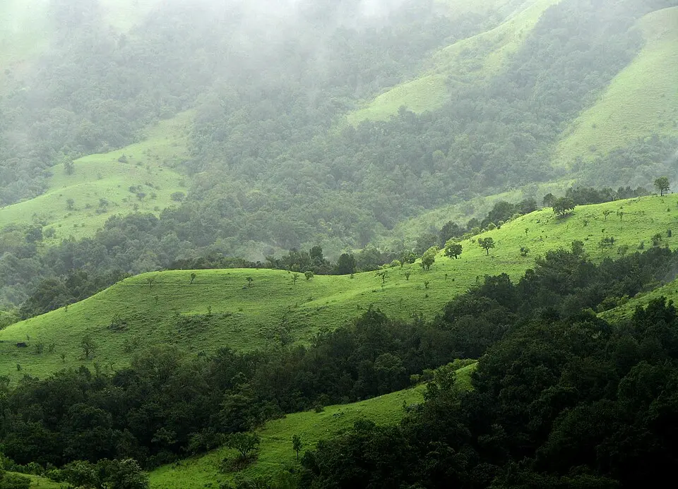Shola grassland and forest in Kudremukh National Park